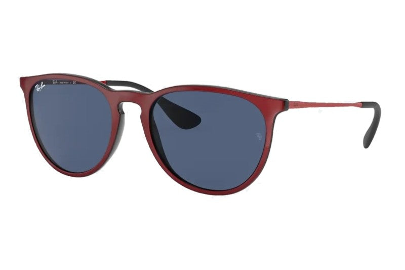 Ray Ban Erika Color Mix Standard