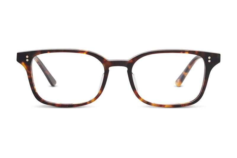 Salt Optics - Livingston 50 RX