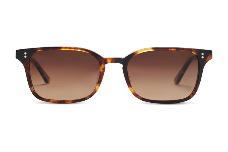 Salt Optics Livingston