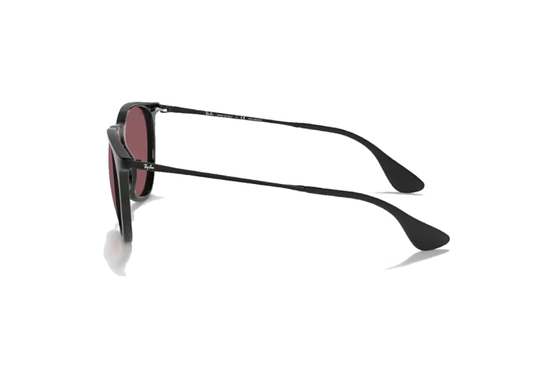 Ray-Ban - Erika Classic (Standard)
